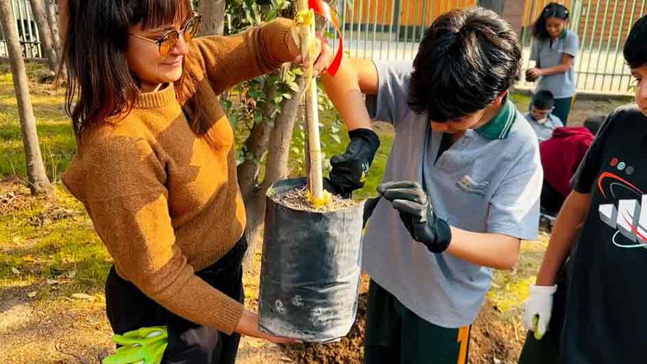 news-kultur-chile-planze-945
