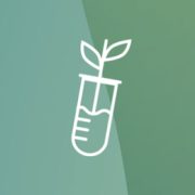 bildung-fachtagung-mint-icon2 bildung-fachtagung-mint-icon2
