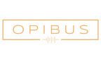 partner-entwicklungskooperation-opibus