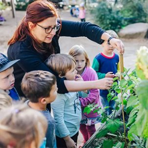 projekt-bildung-mint-hub-kiq