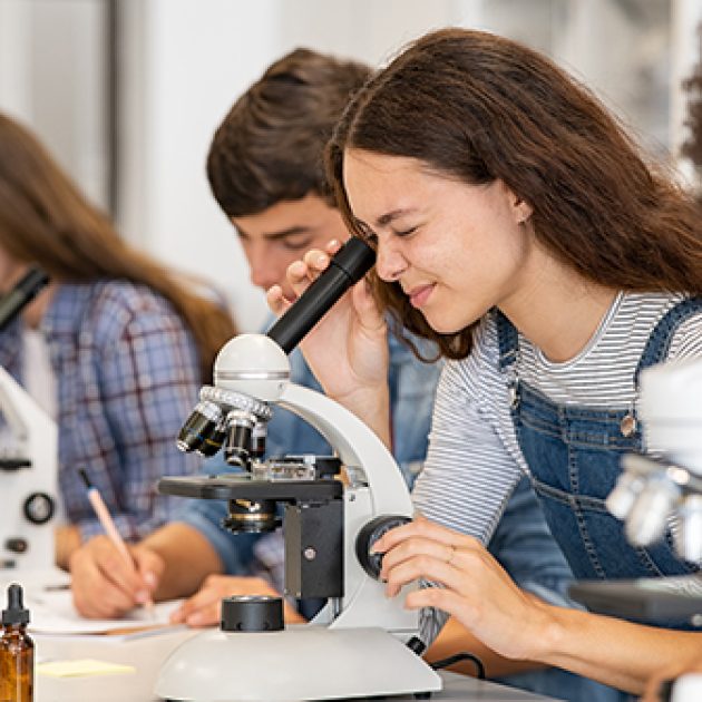 projekt-bildung-mint-hub-makeathon
