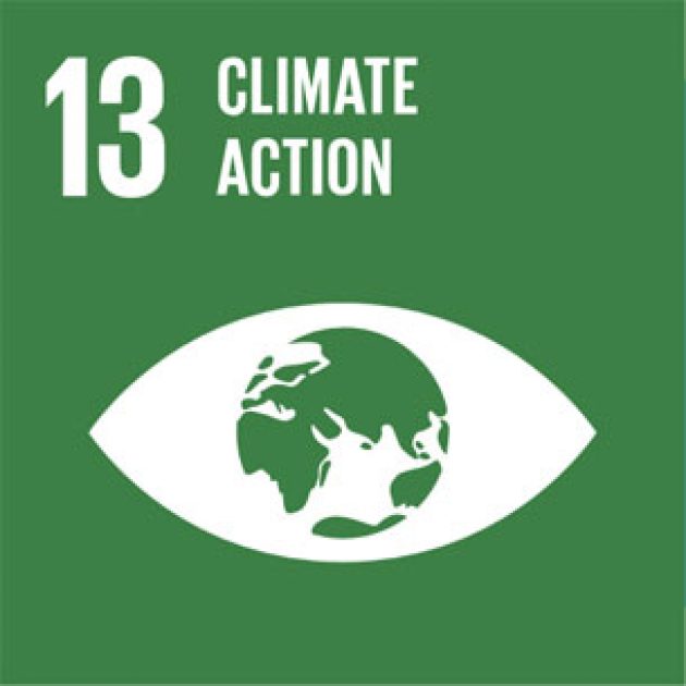 Sustainable Development Goal 13 – Climate action