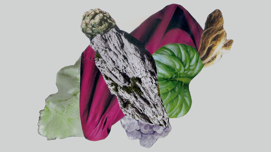 projekt-kultur-terrenocomun-collage