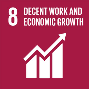 Sustainable Development Goal 8 – Decent work and economic growth